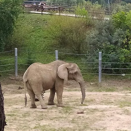 Czytelnia - Parking Gratis Познань