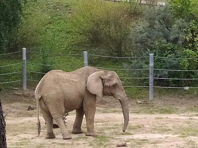 Czytelnia - Parking Gratis 포즈난