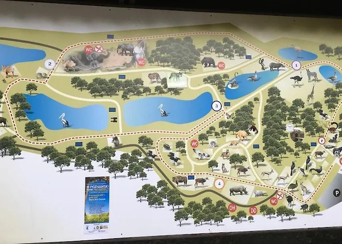 Apartment Czytelnia - Parking Gratis Posen